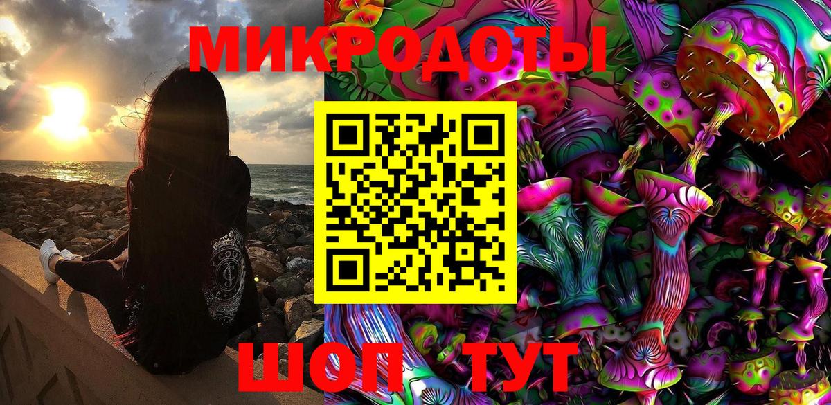 Галлюциногенные грибы Psilocybe Серпухов